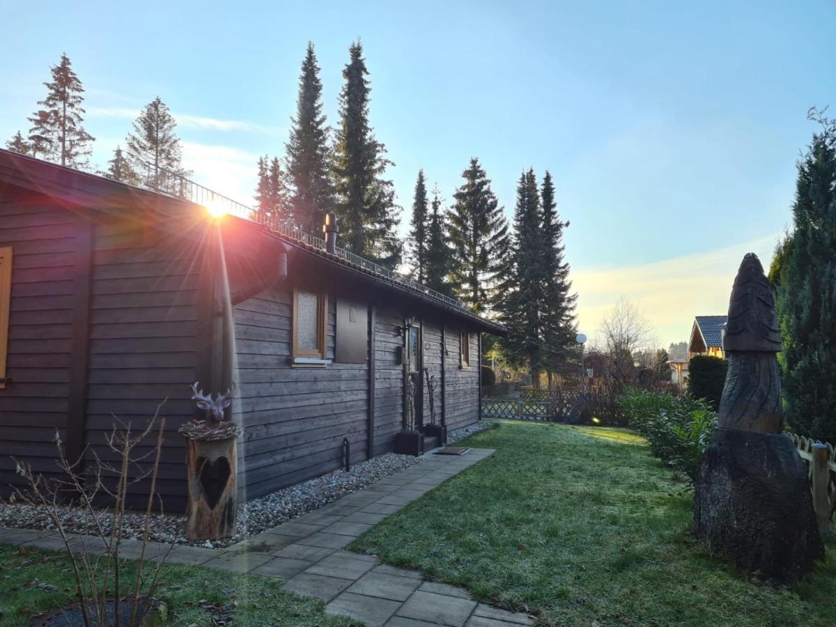 Huettenflair Am See Mit Kamin Clausthal-Zellerfeld Ngoại thất bức ảnh