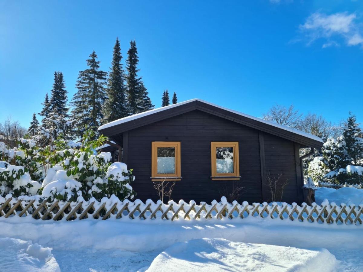 Huettenflair Am See Mit Kamin Clausthal-Zellerfeld Ngoại thất bức ảnh