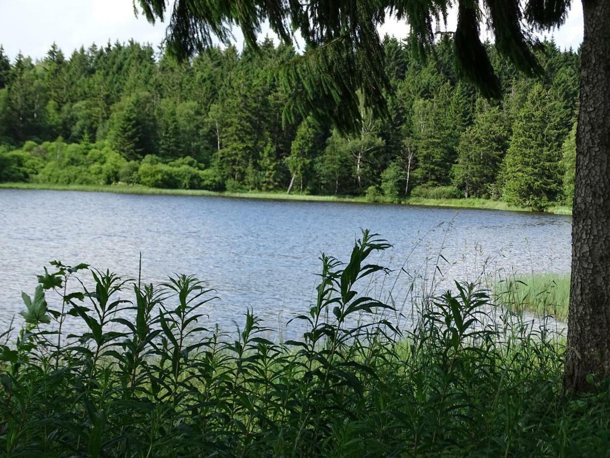 Huettenflair Am See Mit Kamin Clausthal-Zellerfeld Ngoại thất bức ảnh