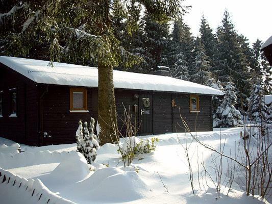 Huettenflair Am See Mit Kamin Clausthal-Zellerfeld Ngoại thất bức ảnh